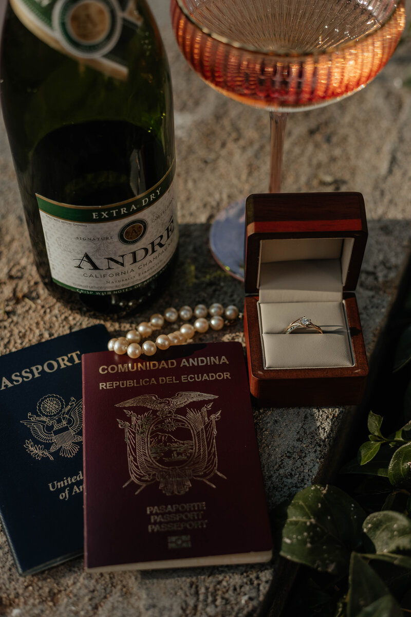 danifelipeengagements-232