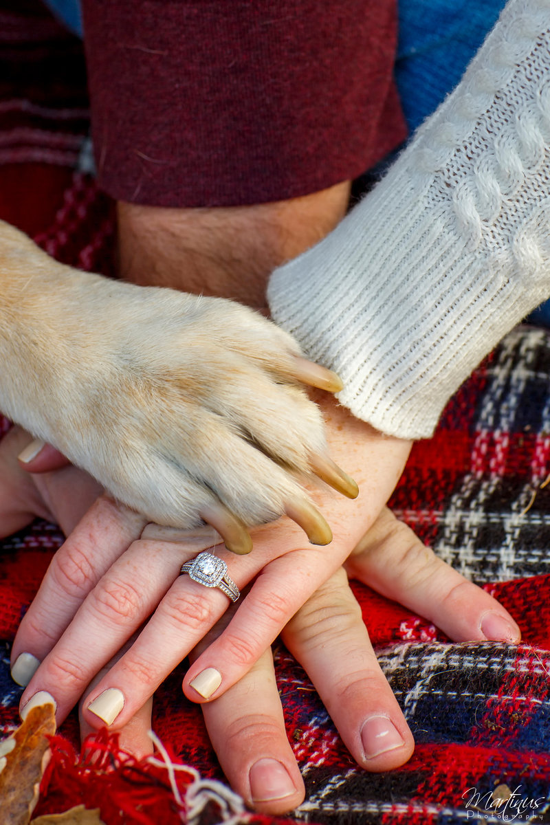 MPY_HC_B_102016_0098