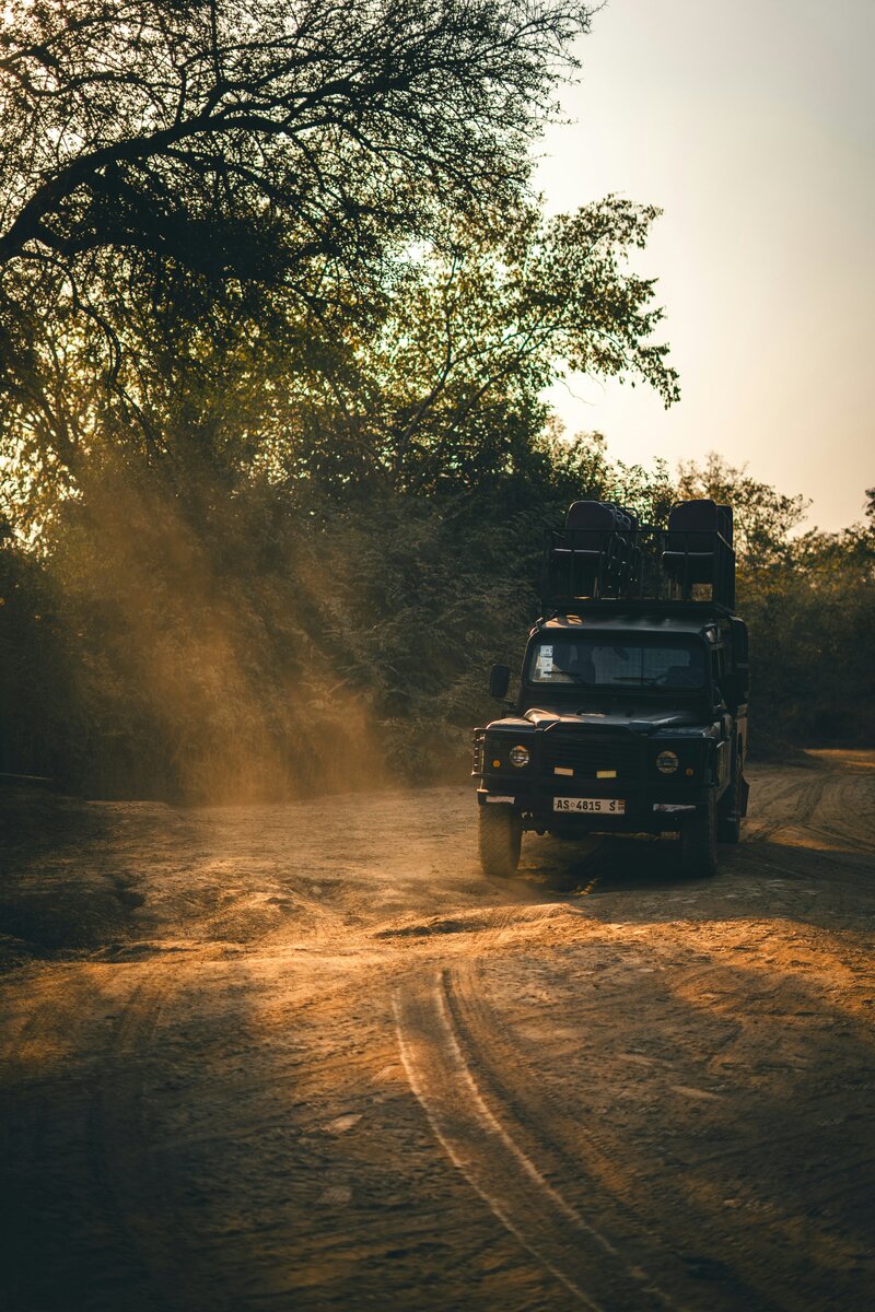 julian-morenz-5OgchXfT-6Y-unsplash