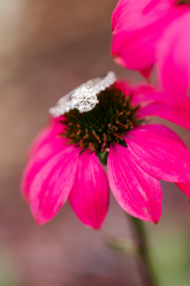Jennifer B Photography-John and Olivia-Engagement-Weymouth Gardens, Southern Pines, NC-2020-0288