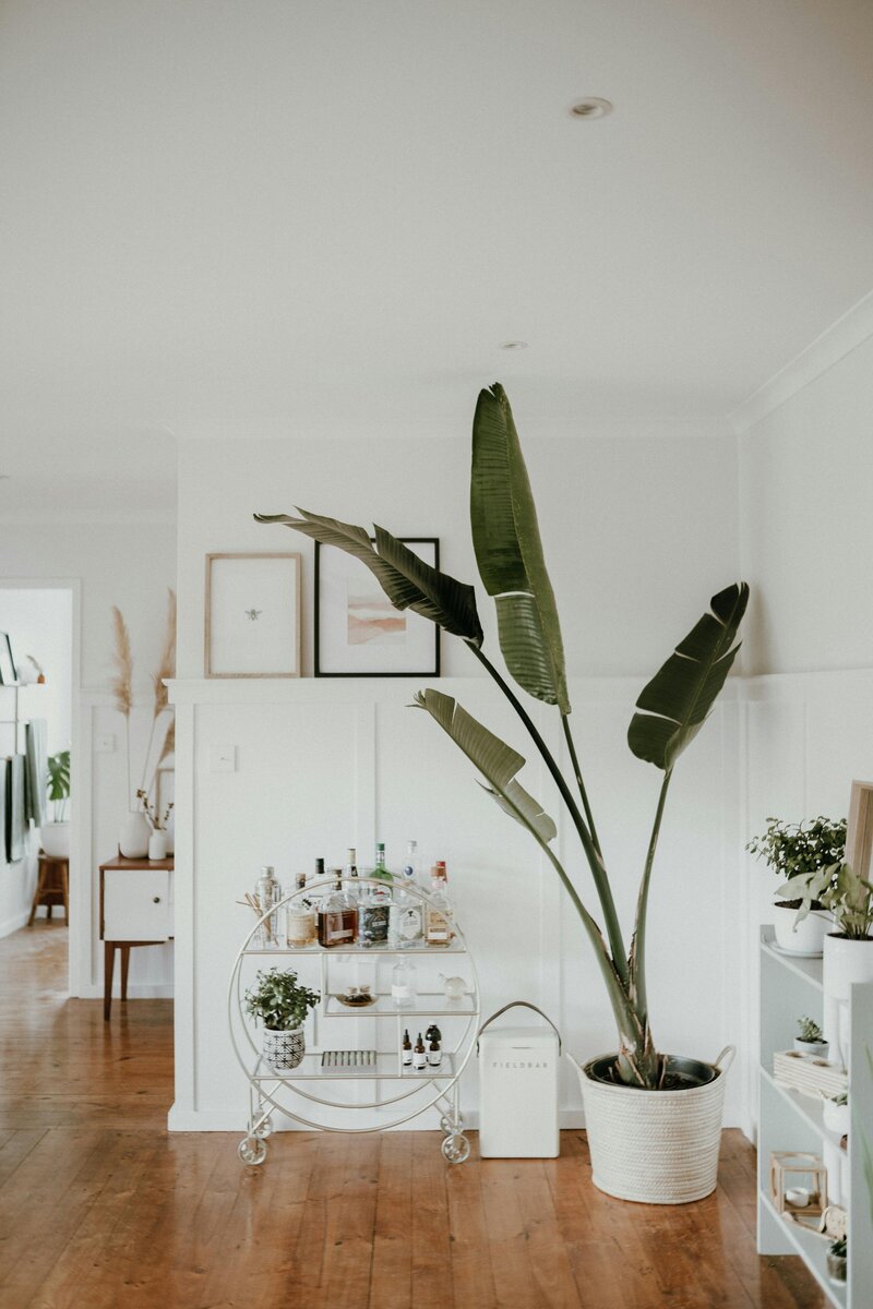 marin house - bar cart