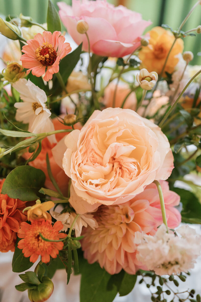 wedding_0849