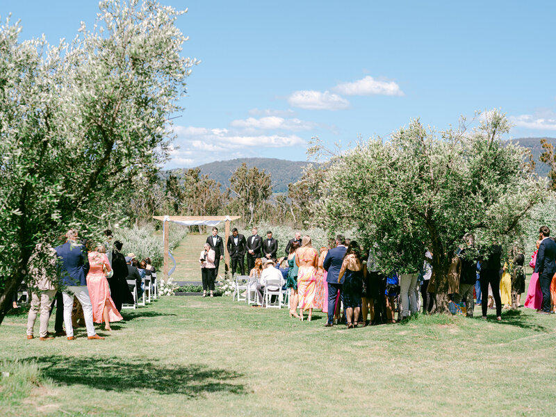 Southern Highlands White Luxury Country Olive Grove Wedding by Fine Art Film Australia Destination Wedding Photographer Sheri McMahon-41