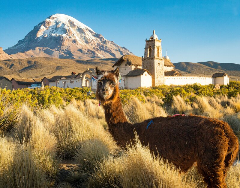 Chile adventure expeditions designed by Kelsey Parry Travel showcasing Patagonian landscapes, private vineyard tours, and personalized hiking experiences
