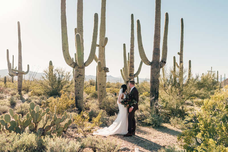 AZ Desert Wedding-4