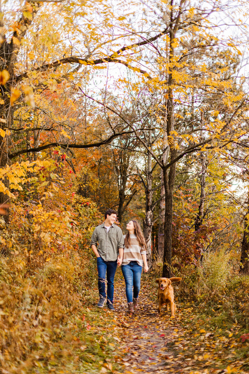 Low stress Hudson Valley pet photography with natural light and real connection