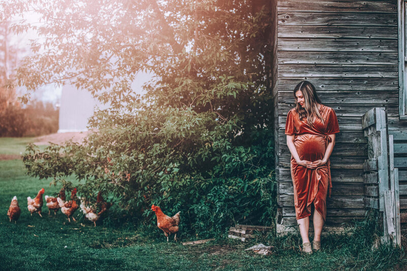 expecting mom in velvet dress with chickens
