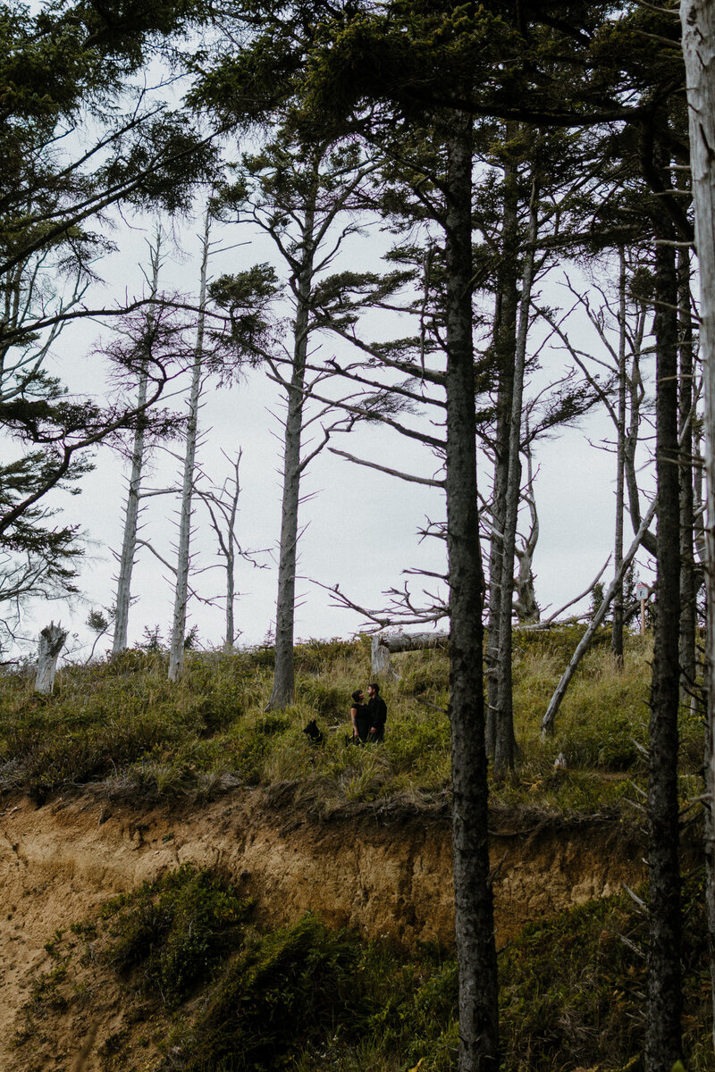 Couple standing in the distance with their two black dogs, in their all black attire, among the coastal forest.