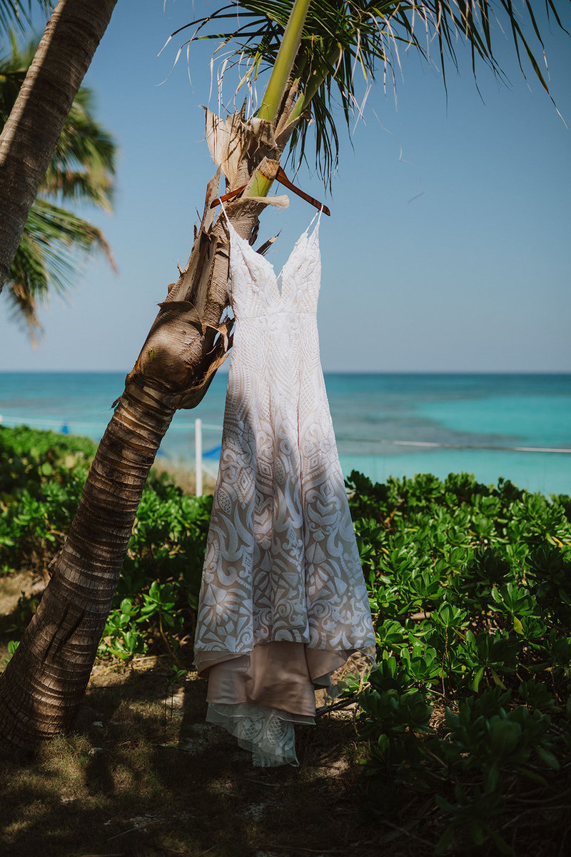 wedding dress on a palm tree in the Bahamas