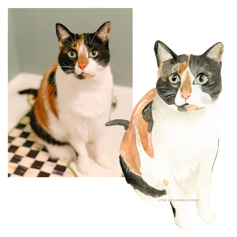 calico-cat-portrait-11-The-Welcoming-District