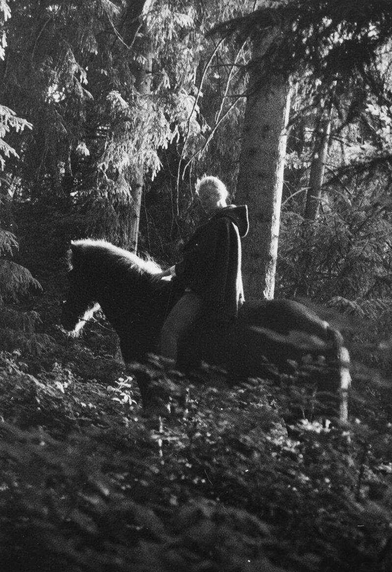 Pferdetrainerin und Pferdemassagetherapeutin in Salzburg, Deutschland, reitet auf ihrem Islandpferd in einem nebligen Wald