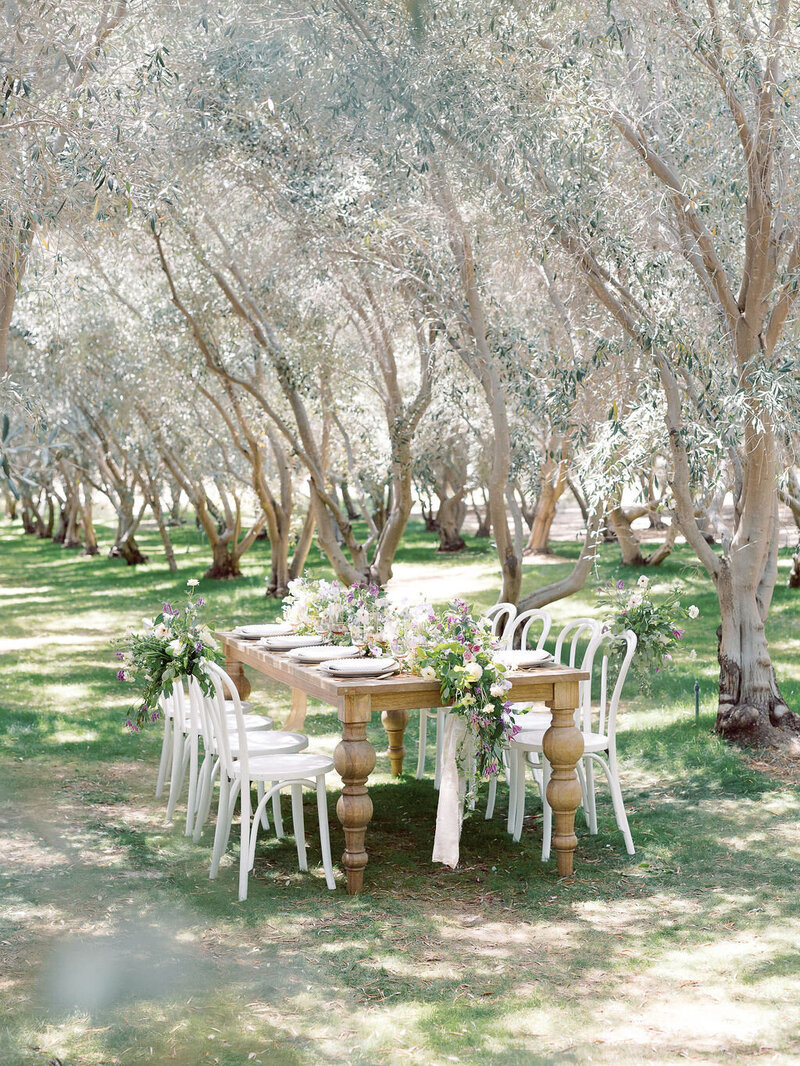 1-radiant-love-events-wooden-table-seating-of-8-middle-of-olive-tree-orchard-outdoors-romantic-elegant-timeless