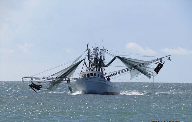 Topsail Steamer in Bethany Beach, DE