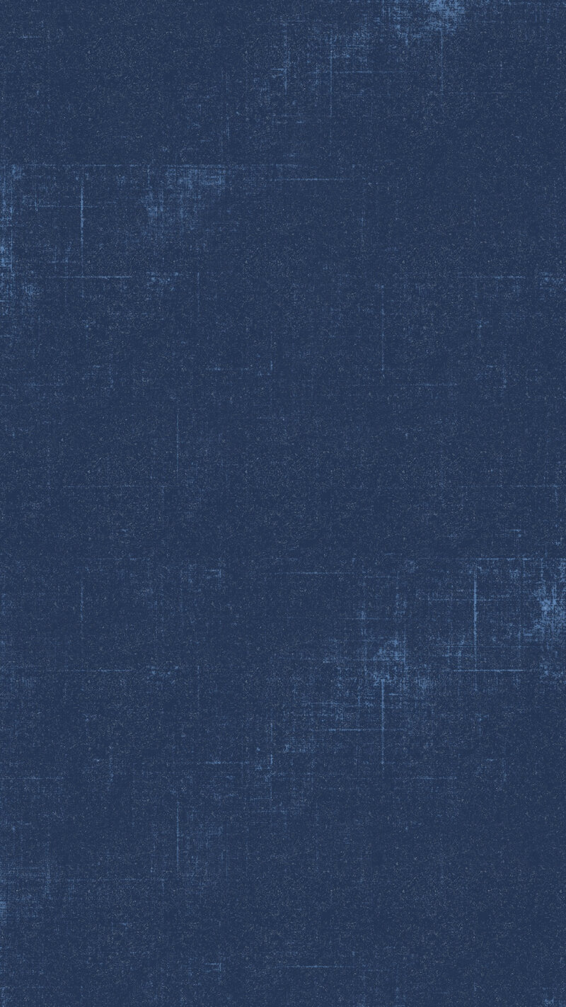Anna Bradshaw navy brand texture