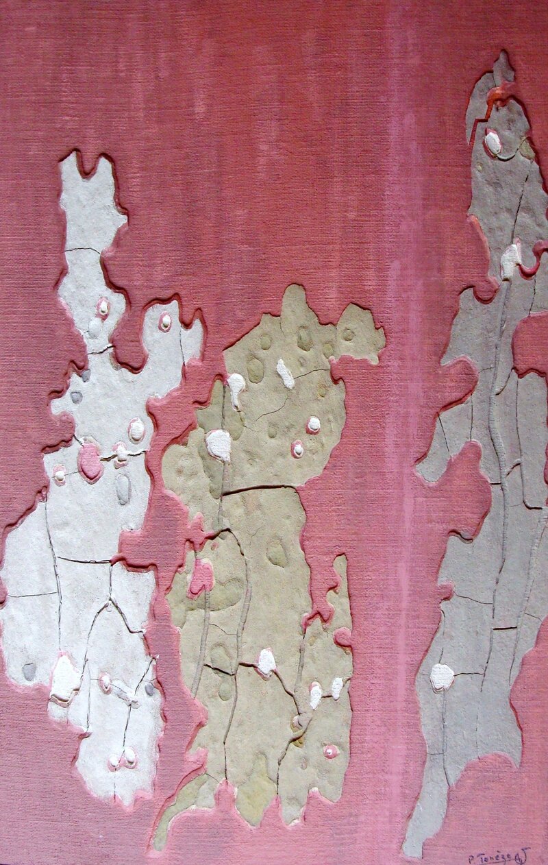 Tableau de Paul Tenèze issu de la collection écorces. Tableau n°23