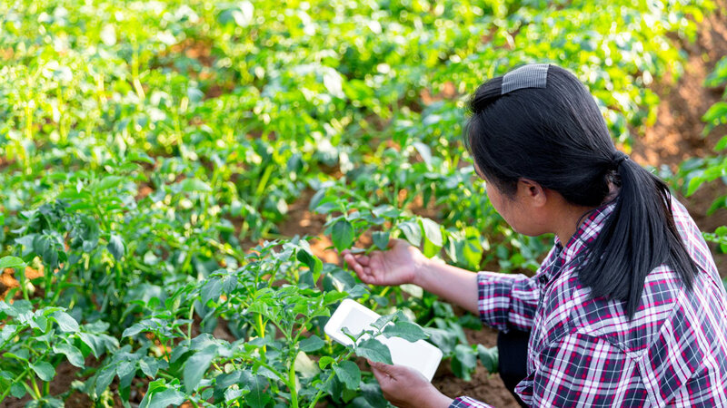 Detailed view of precision growing sensors for specialty crops