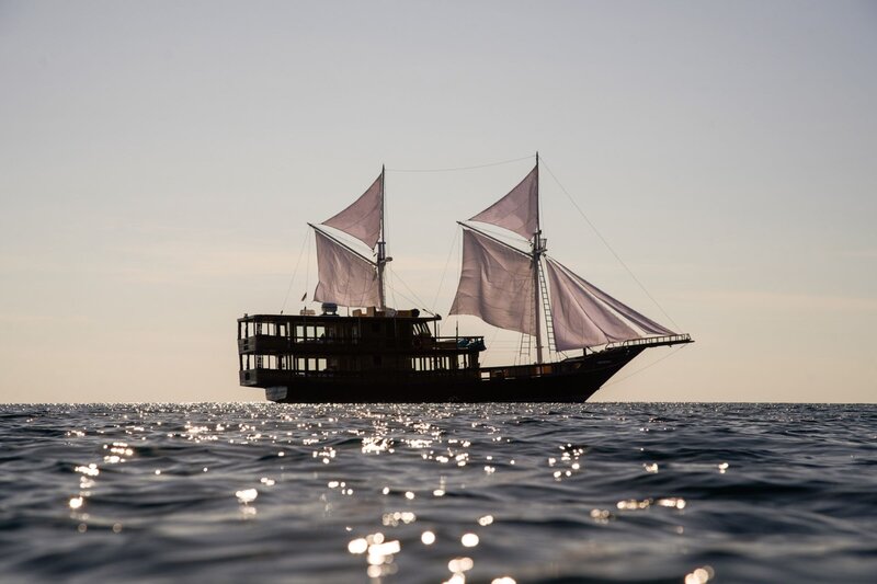 Embark on an Oracle yacht tour and explore Indonesia's stunning marine life.