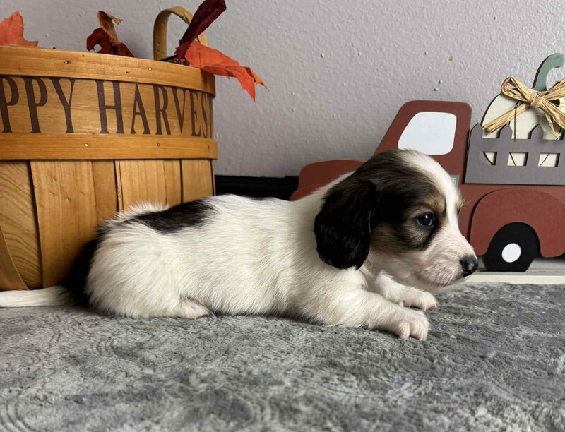 80eb81c6-0ce0-43d4-9c03-37af2c1ca9e2