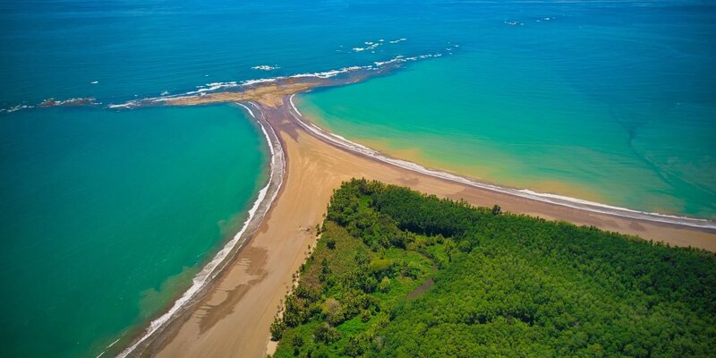 whales tail ocean in costa rica