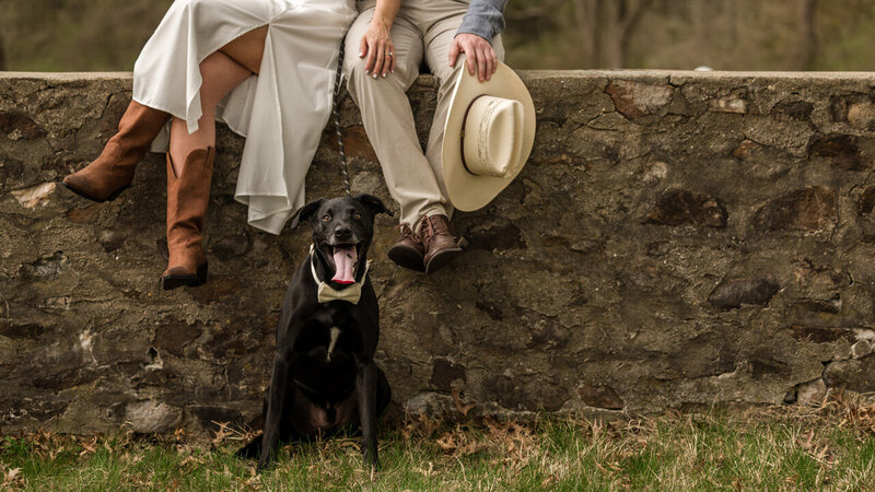 Couple posing with their rescue dog front and center during a rustic engagement session at Valley Forge.
