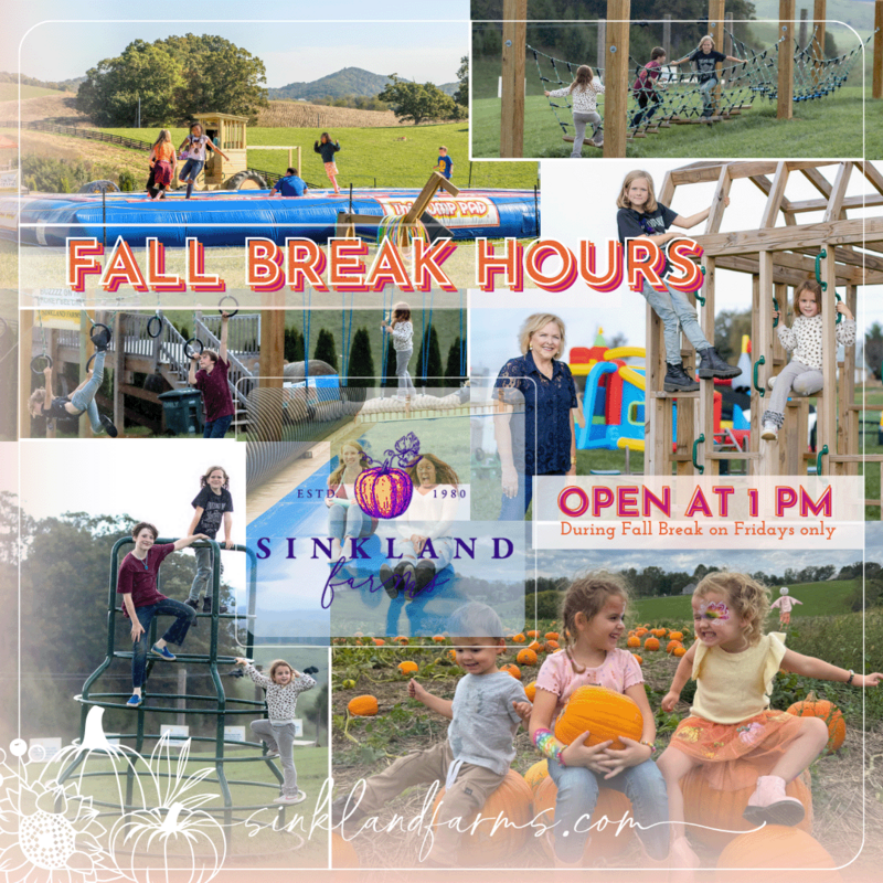 2024Sinkland-Farms_Pumpkin-Festival_Creative-Designs-by-Renee_Fall-Break-Hours
