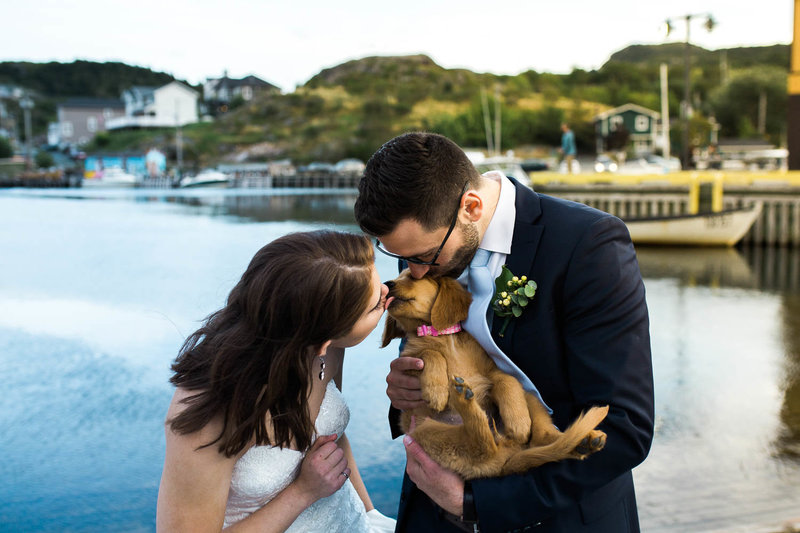 Newfoundland Wedding Photographer -36