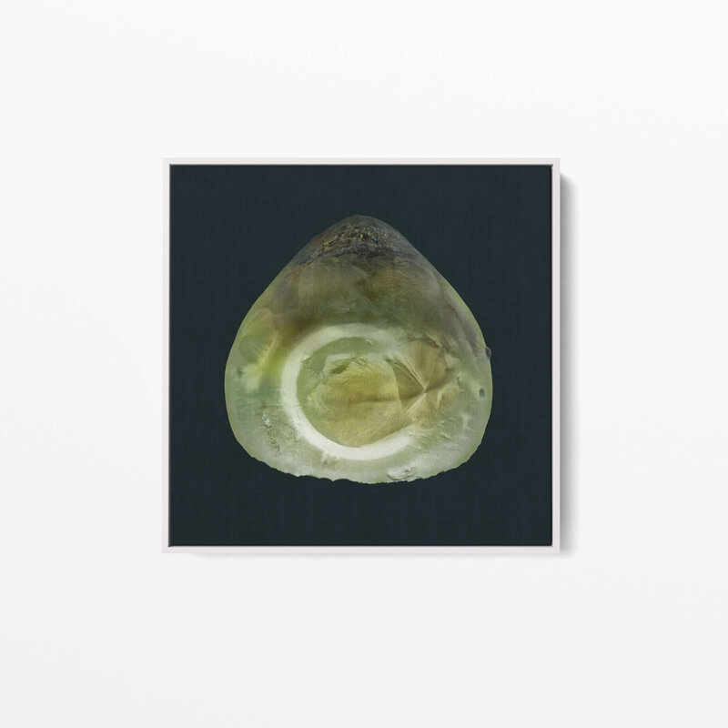 Fine Art Canvas with a white frame featuring Project Stardust micrometeorite NMM 1448 collected and photographed by Jon Larsen and Jan Braly Kihle