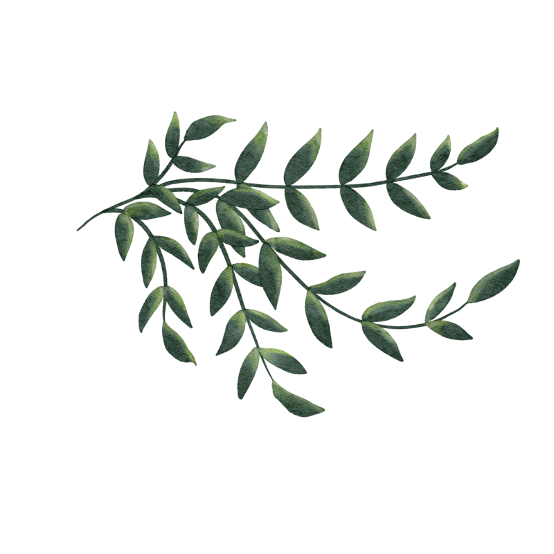 feuille décoratrice