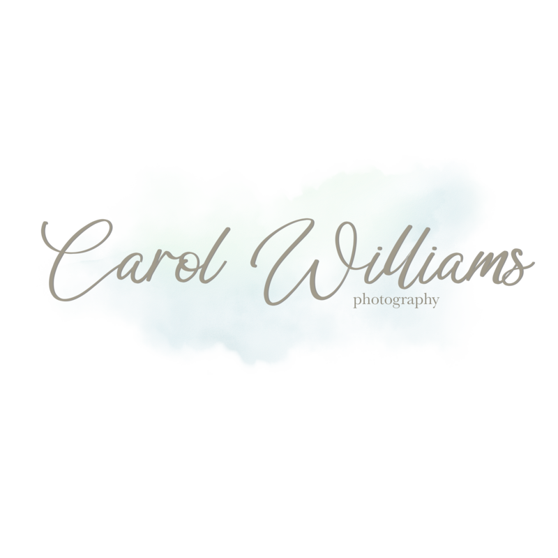 Carol Logo_Name_Watercolor copy