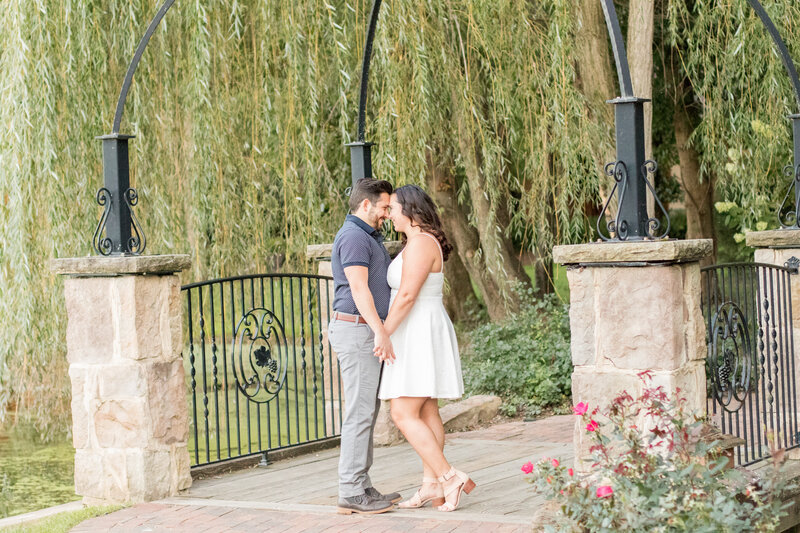 Winery engagement photos