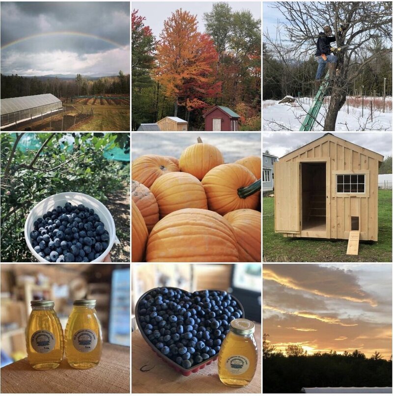 Picture grid of local produce, trees, rainbow, shed, pumpkins and honey at Bascom Road Blueberry Farm