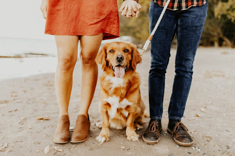 Engagement session with dog