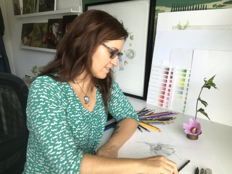 Clair Gaston connects people with nature and one another through botanical illustrations, oil paintings, and online instruction. She is deeply moved by rich saturated color and intricate botanical forms.