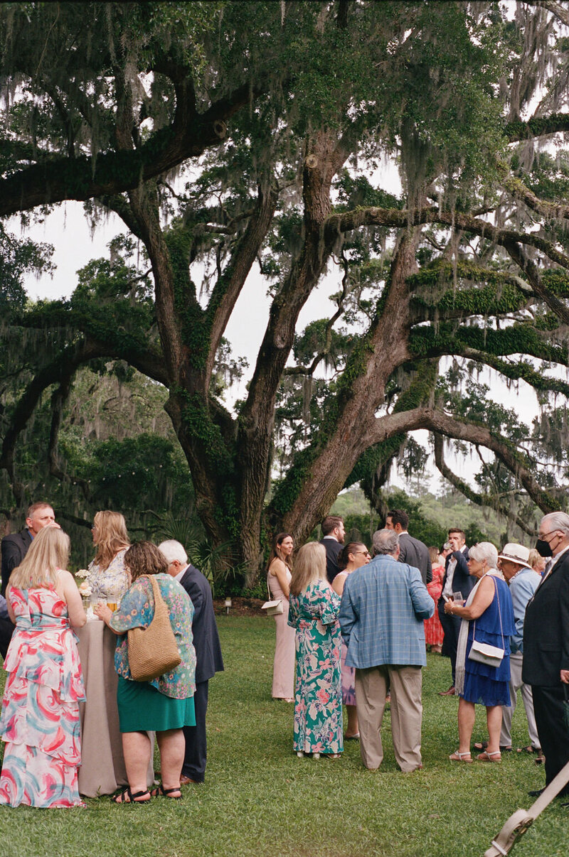 kodak_professional_portra_400_05_29_2024_000310820010