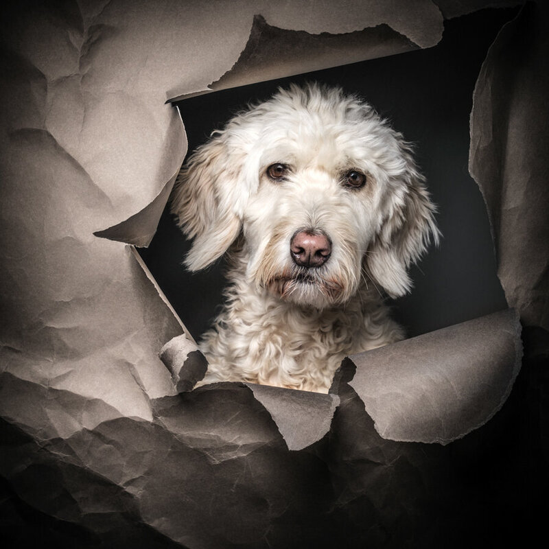 Familie_Aktion_2025_08