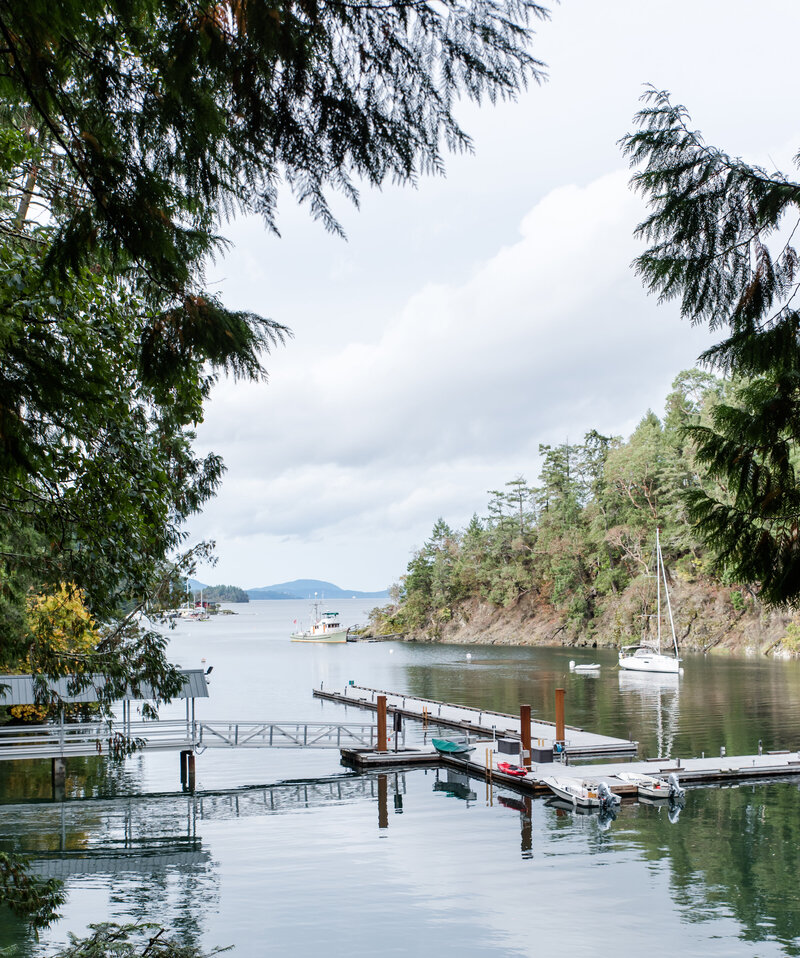 The bay in Vancouver, BC