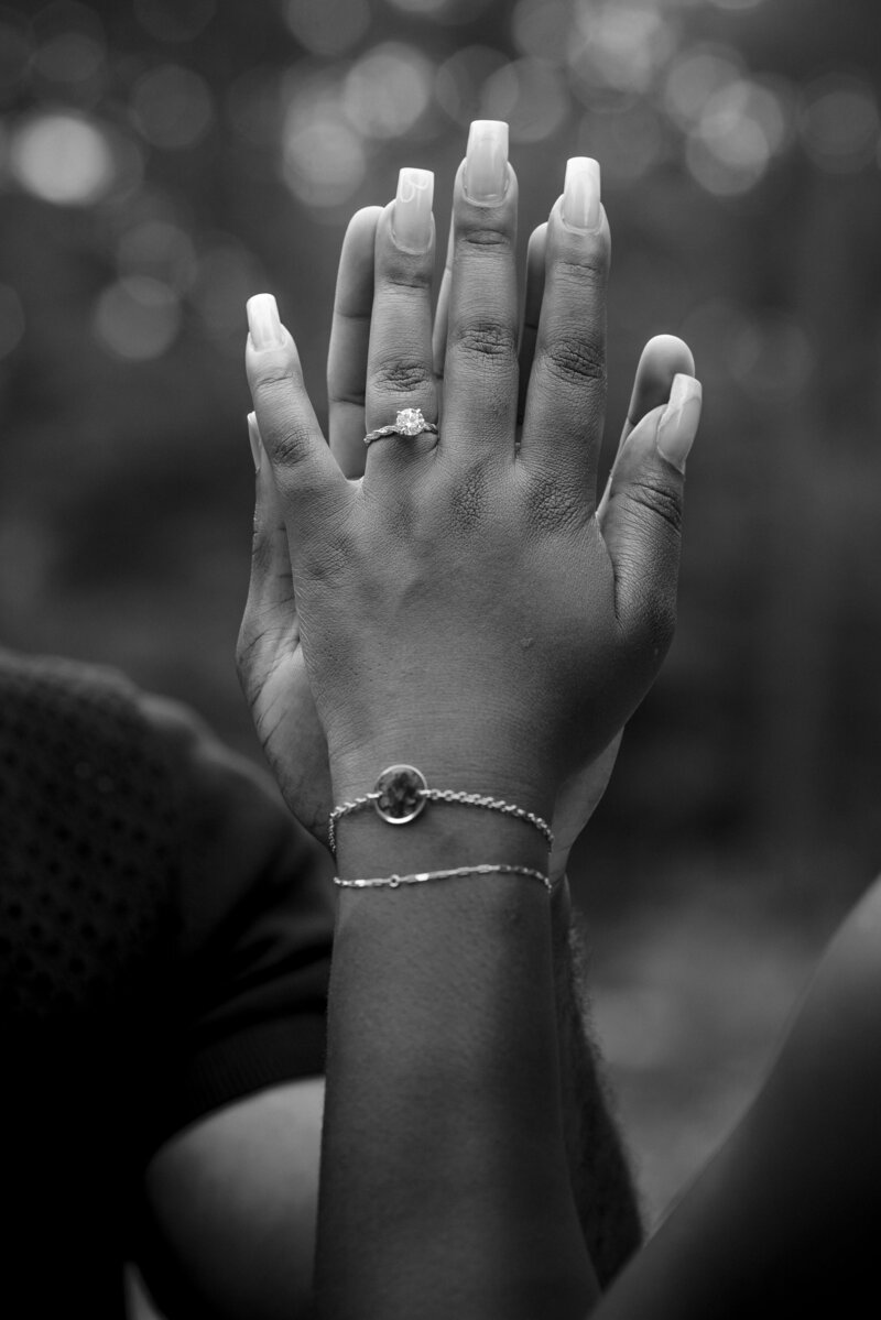 Romantic outdoor proposal photography at Glencairn Gardens, Rock Hill SC, by Charlotte engagement and proposal photographer DeLong Photography.