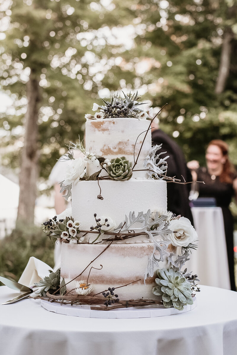 Beautiful white frosted cake with rustic branches and flowers by Lisa Smith Photography