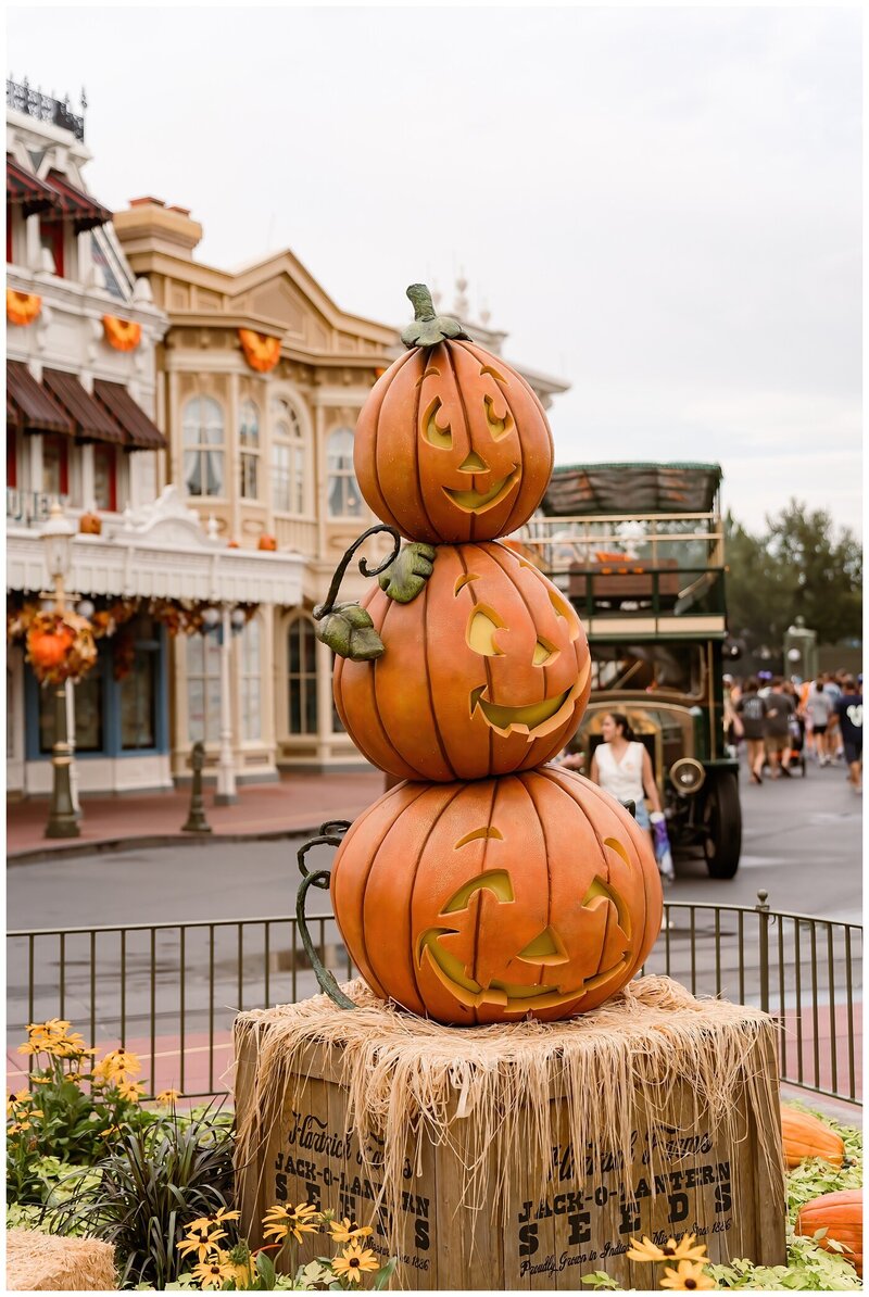 Disney Stock Photos_0288
