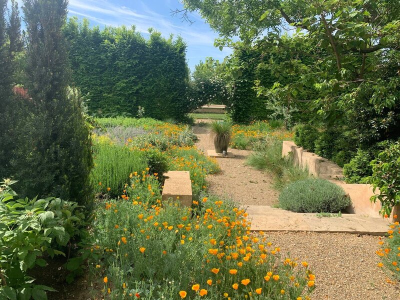 Yolo Garden3