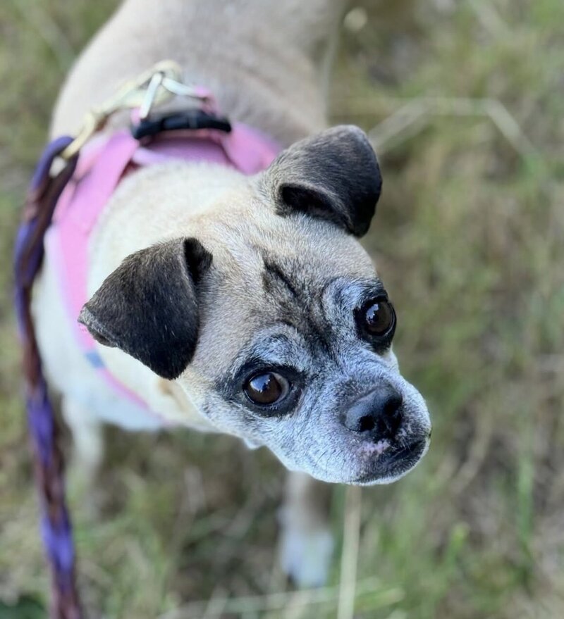 Coco (8)