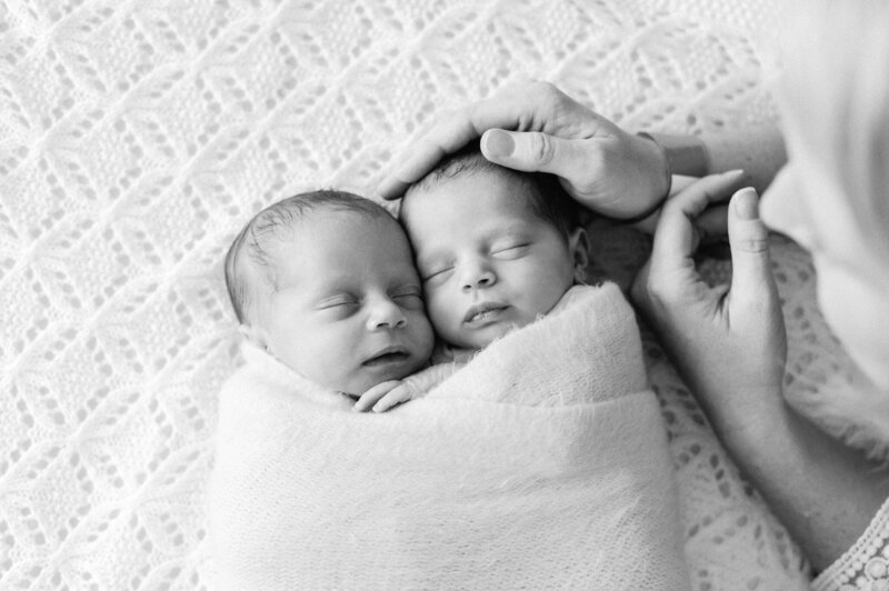 Sevenish Photography Sutherland Shire Photographer-3