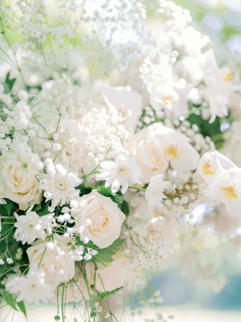 paris-wedding-photogra_her-haitian-african-luxury