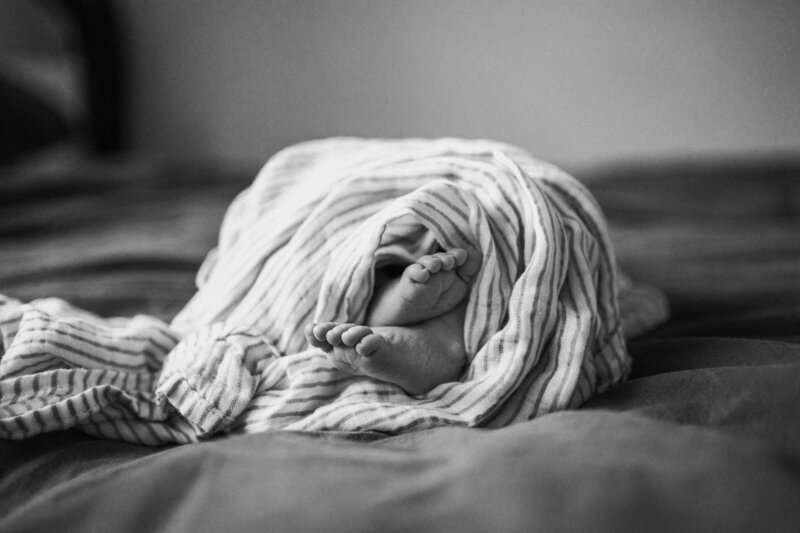 HAZEL_Newborn_by_little_glimpses-1091-2