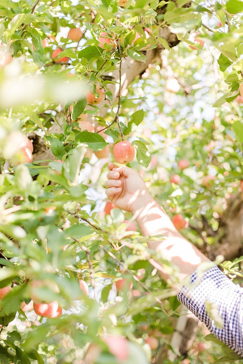 _Marissa___Nathan_(30_of_52)