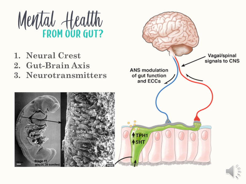 mental health
