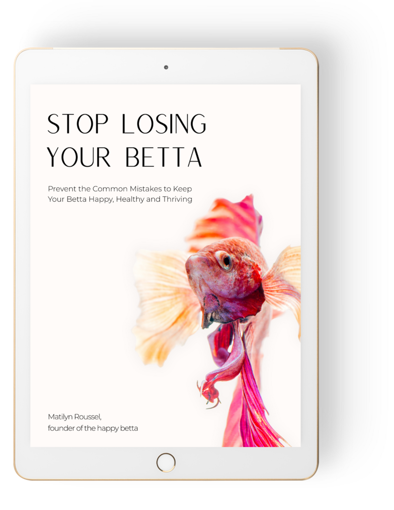 betta care ebook cover displayed on an ipad