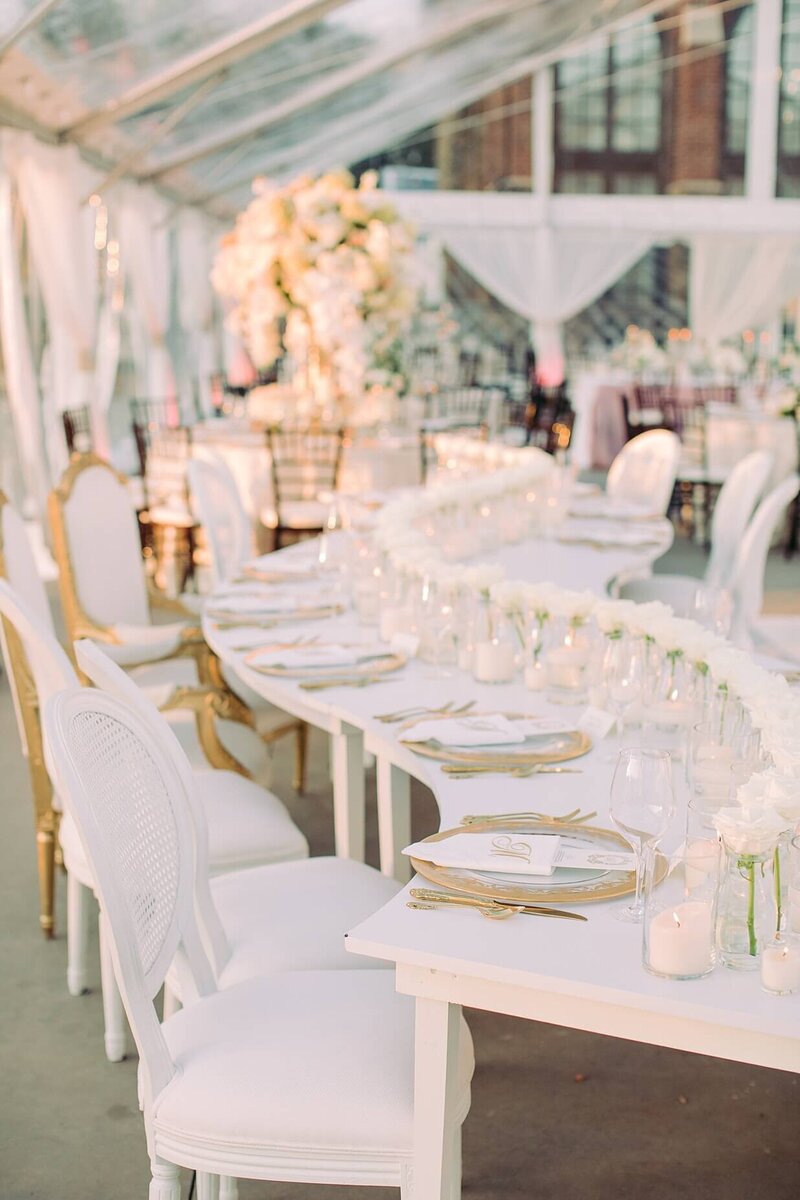 luxury_virginia_wedding_planner_best_virginia_wedding_planner_Richmond-wedding_planner_charlottesville_wedding_planner_eastern_shore_event_designer_charleston_wedding_planner_0561