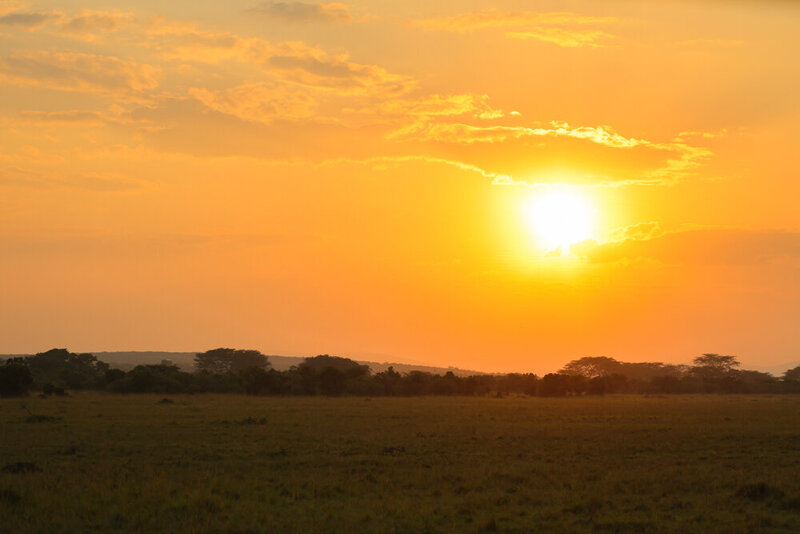 safariedited-529