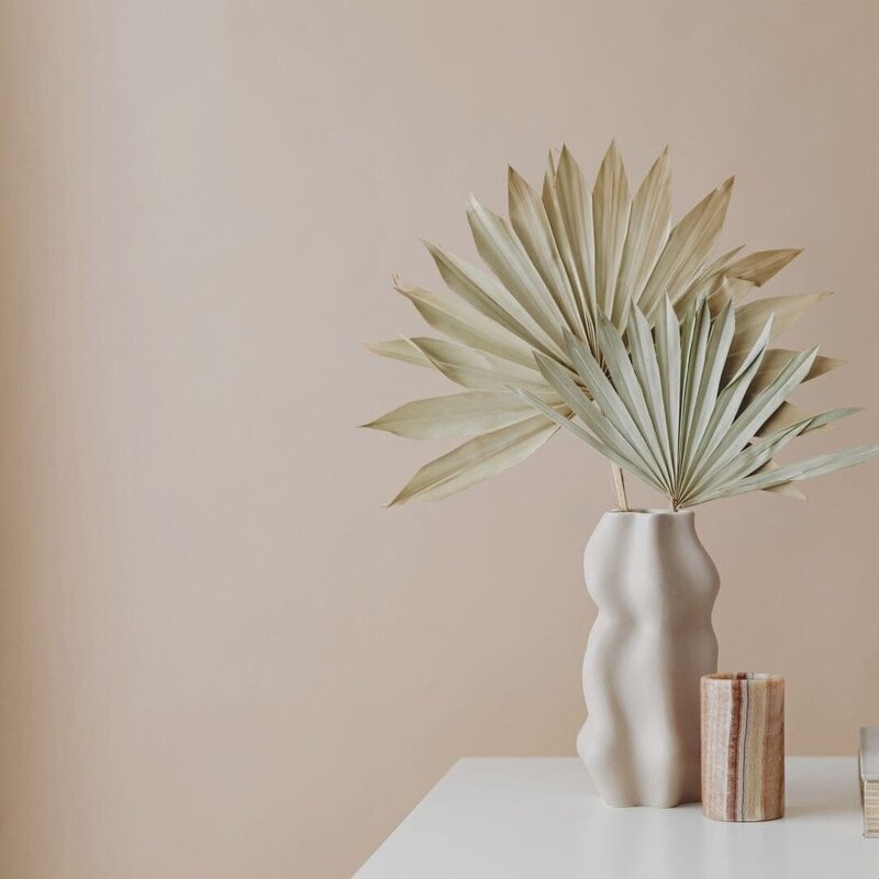 Service at Speak Social